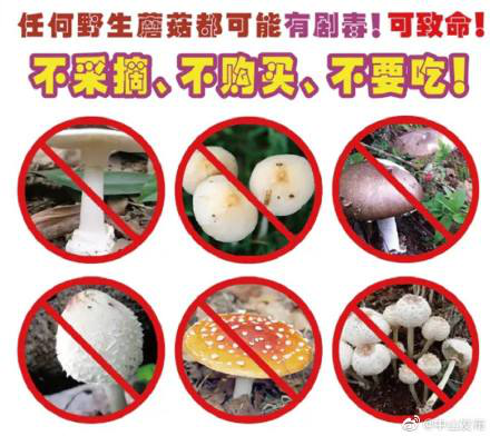 圖片5.png
