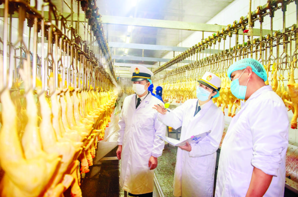     惠州海關關員查驗供港禽類制品生產(chǎn)流程。惠州日報記者劉煒煒 通訊員張仕榮 攝