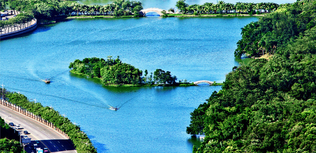 西湖六湖景點5_鱷湖