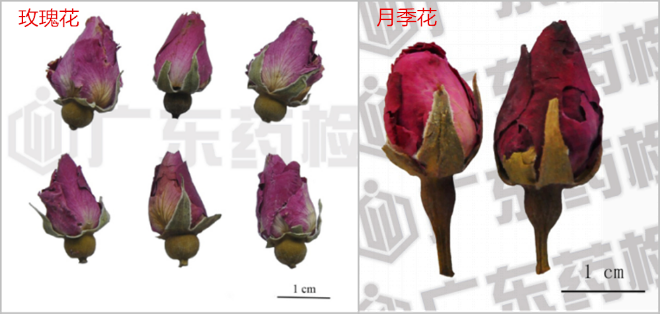 6.png 圖片