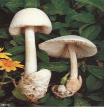 640 (3).png