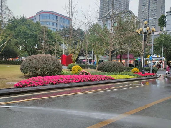 城市花境。銅梁區(qū)城市管理局供圖 華龍網(wǎng)發(fā)