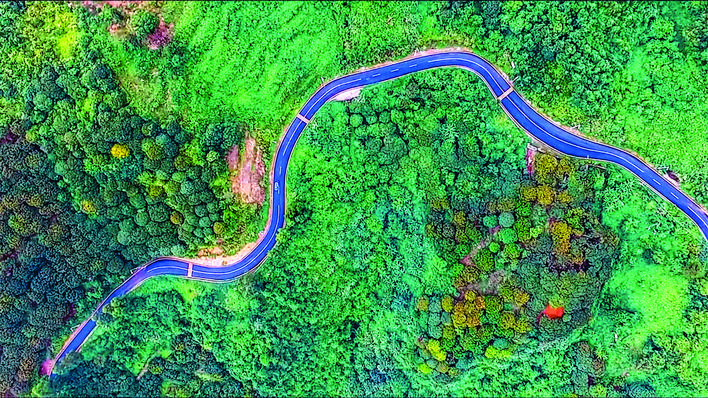 f87aa7f0-d390-4113-a912-e5856d1a6e8d.jpg.jpg