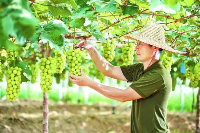 轉存圖片