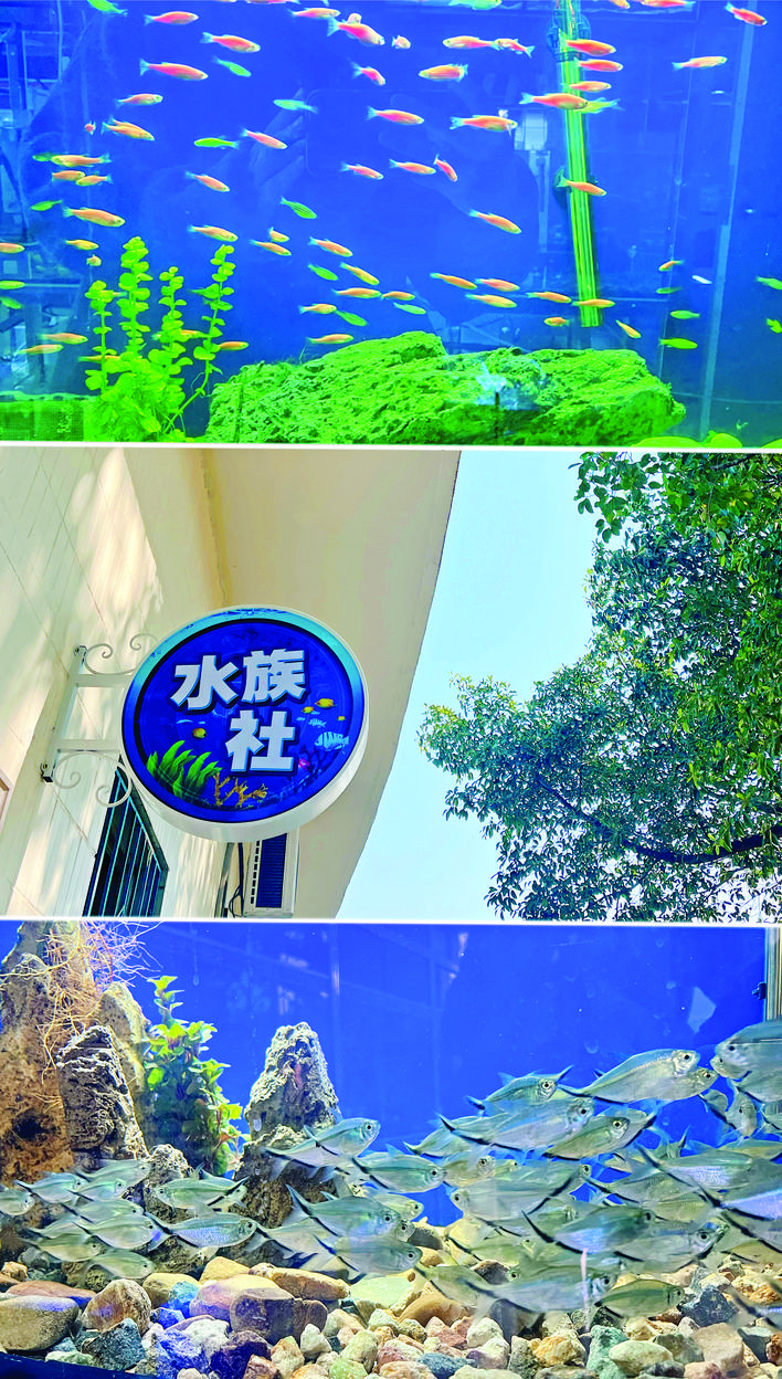 ec8d19bb-af95-432c-b4ba-2a60c0c76df8.jpg.jpg