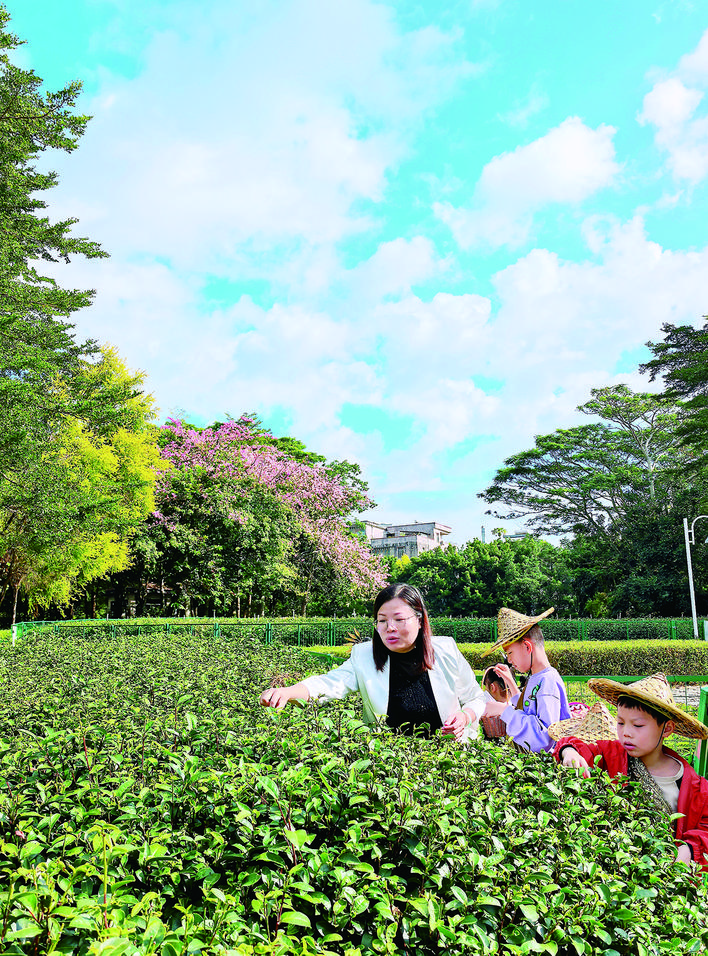 d12f9ca8-9e2f-418d-b149-0decb1875f56.jpg