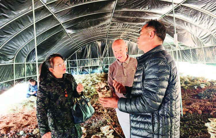 轉存圖片