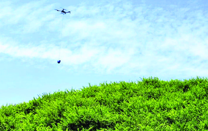396cadcc-697a-42ee-b7a1-936fad9336c7.jpg
